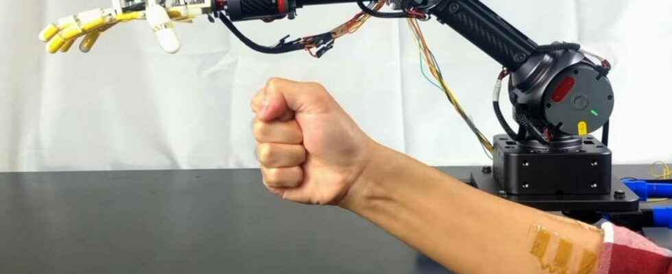 The sense of touch is coming to robots