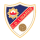 Shield/Flag Linares Deportivo