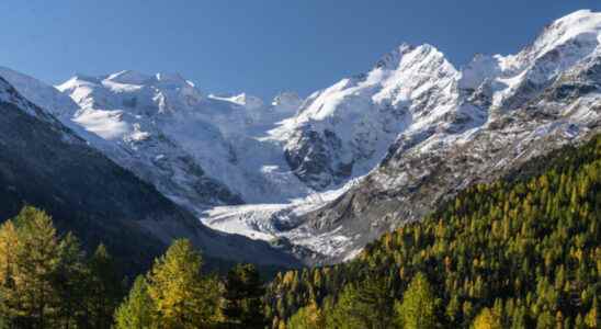 The whole of the Alps is affected by a greening