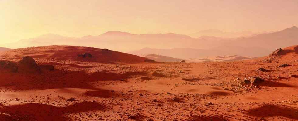 This bacterium could live on Mars and help us for
