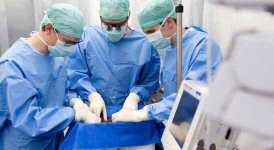 Transplant of a human liver stored for 3 days a