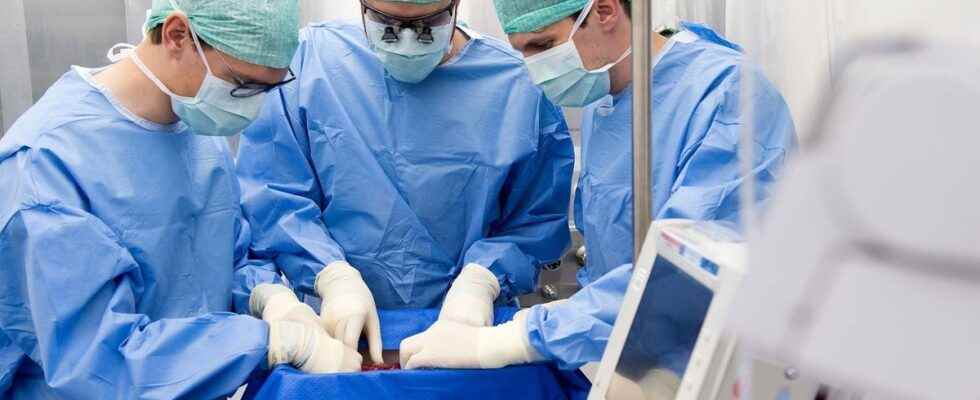 Transplant of a human liver stored for 3 days a