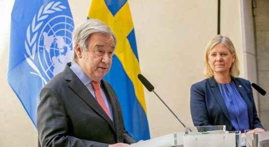 UN chief warns of global food crisis Act quickly and