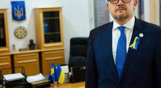 Ukraines ambassador 100 days of suffering