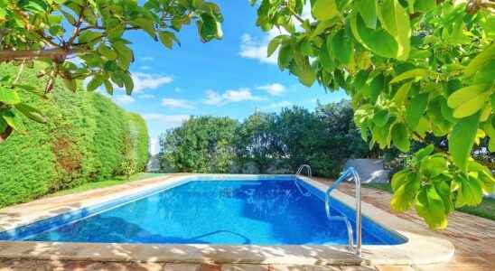 What type of swimming pool to install in your garden