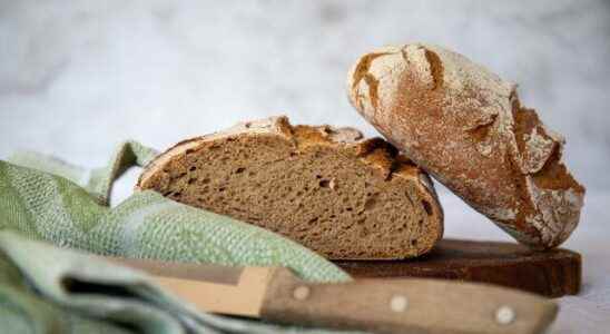 Which bread should be preferred to lose weight Expert advice