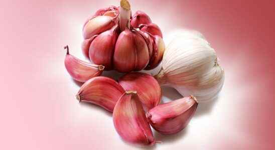 Why does garlic give bad breath
