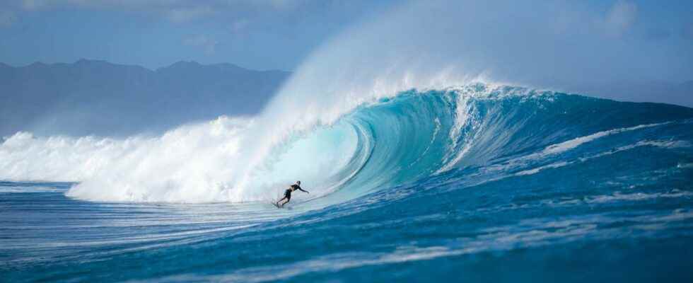 World Ocean Day but what is the wave reserve created