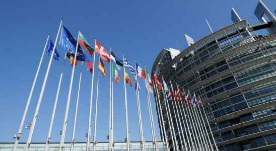 the European Parliament will study the ambitious laws of the