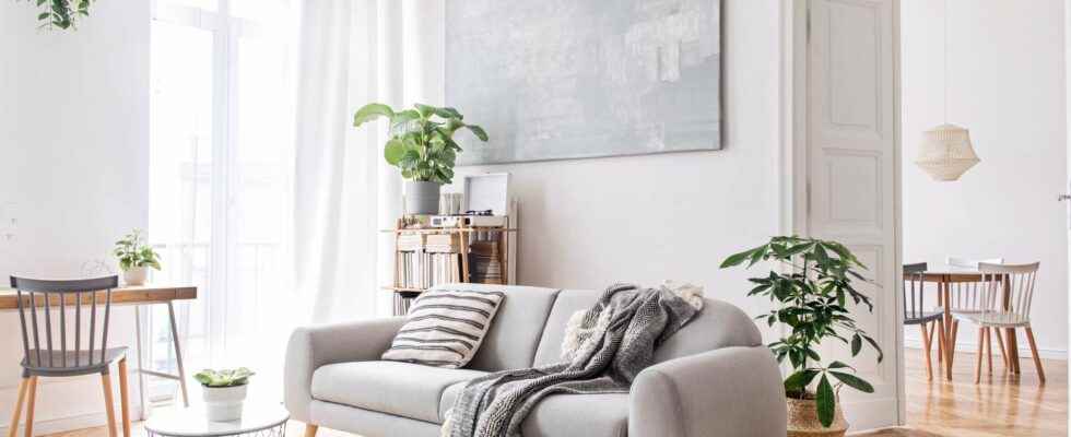 4 tips for adopting feng shui at home and in