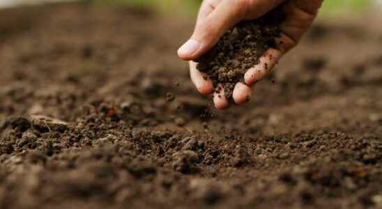 6 materials to improve your soil