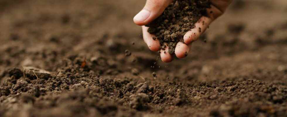 6 materials to improve your soil