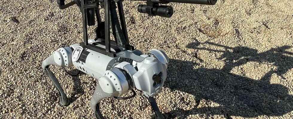 A robot dog with an assault rifle
