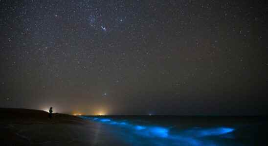 A strange bioluminescent sea observed in Indonesia