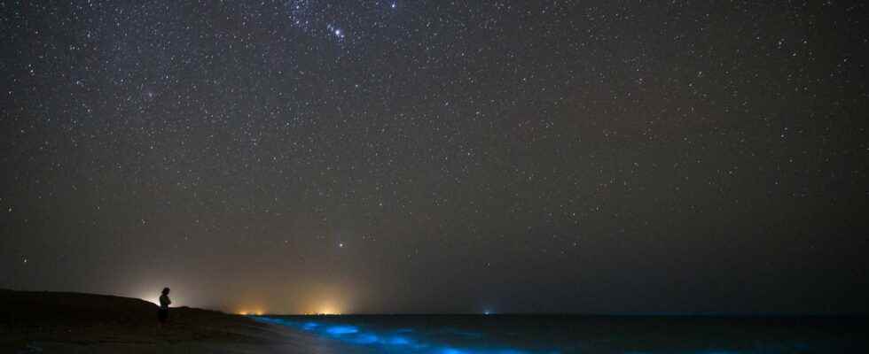 A strange bioluminescent sea observed in Indonesia