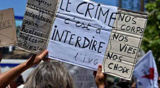Abortion should the right to abortion be constitutionalized in France