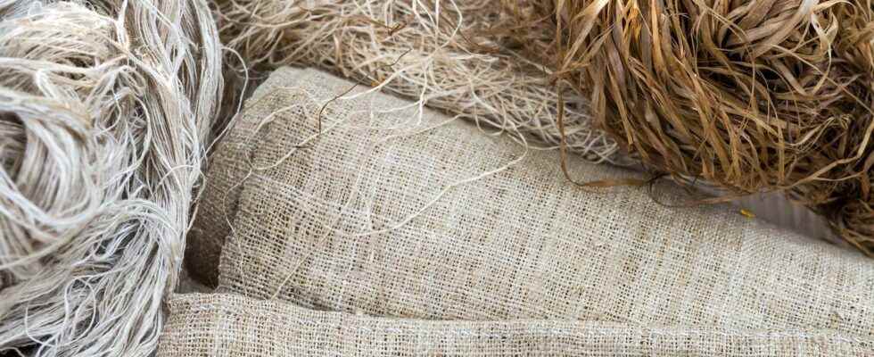 Alternatives to the plastic bag wood fibers burlap bioplastic etc