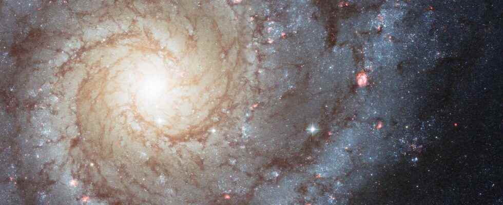An iconic spiral galaxy in the eye of the James Webb