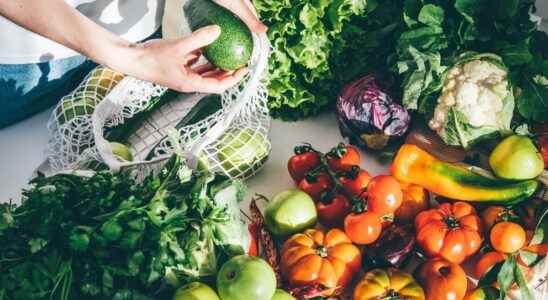 Breast cancer a healthy vegetarian diet would reduce the risk