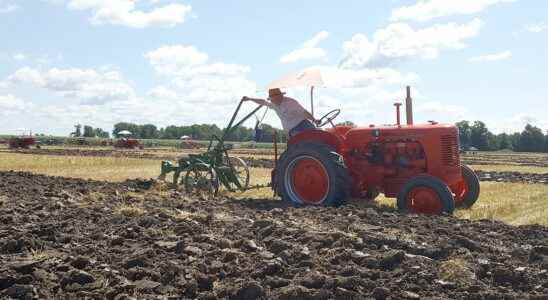 CK Plowing Match set for Aug 13 in Blenheim