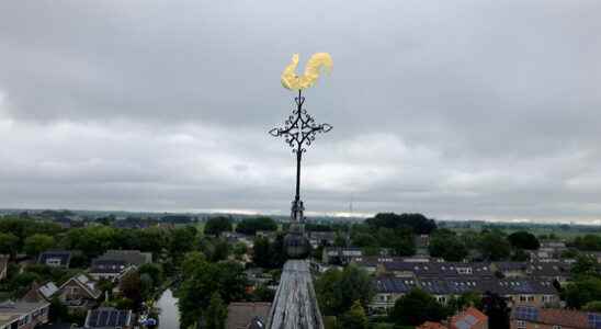 Clock and golden rooster back on church in Linschoten I
