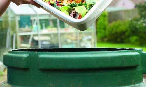Condo green bins to be considered for pilot project