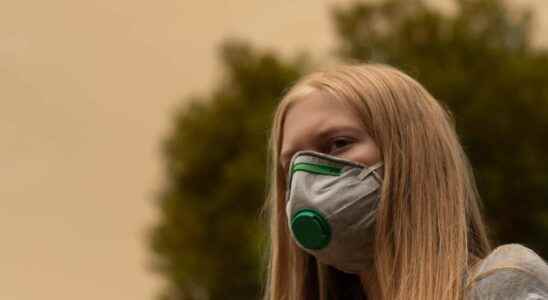 Do anti Covid masks protect against toxic fumes from fires