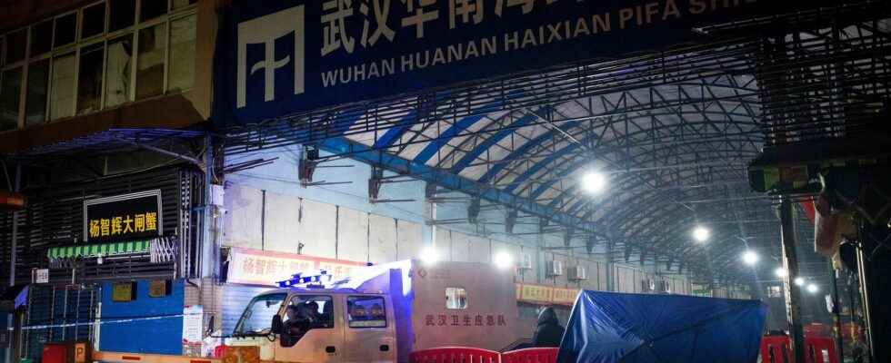 Everything indicates that the Wuhan market was the starting point