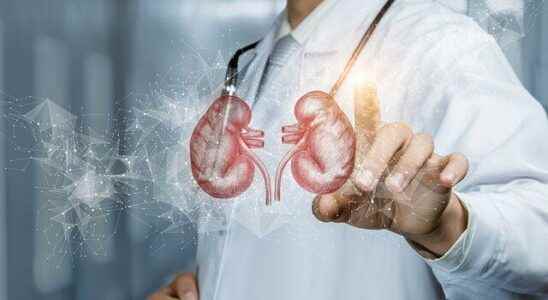 Experts warn 5 golden rules for your kidney health