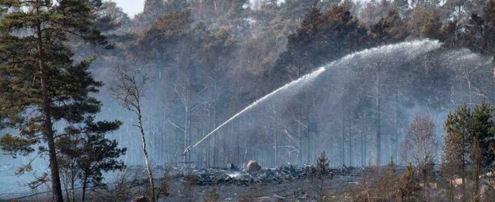Extinguished forest fires flare up again