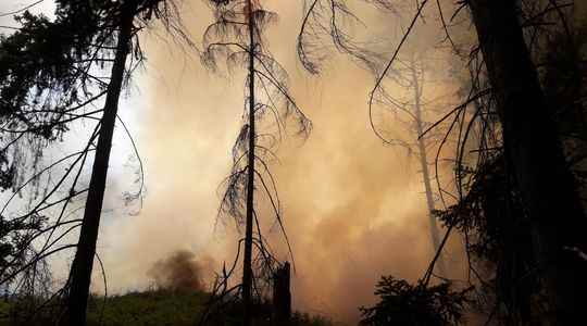 Fires in Fontainebleau too we fear the ravages of fire