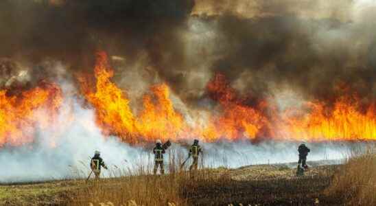 Fires in the Landes forest could the tragedy have been