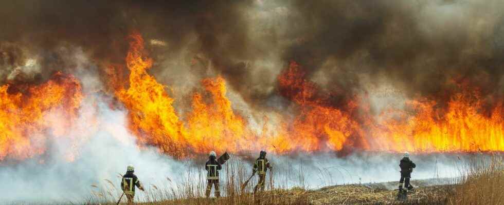 Fires in the Landes forest could the tragedy have been