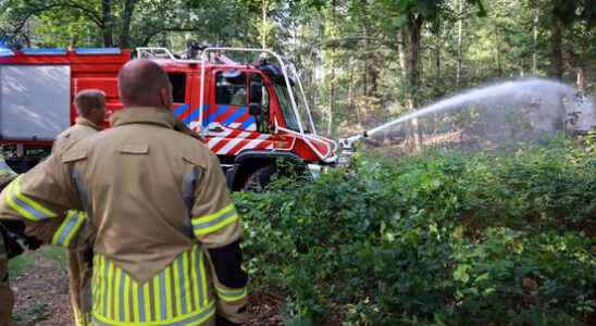 Forest fire at Zon Schild Amersfoort fire brigade deploys