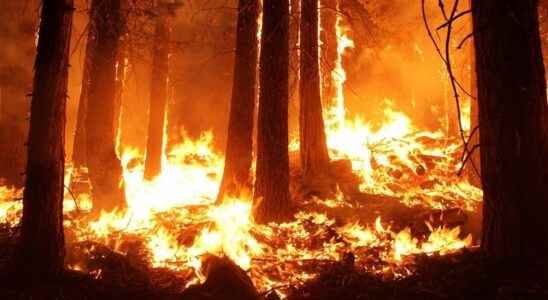 Forest fires why dry thunderstorms are dreadful