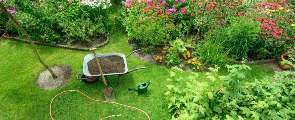 Gardening 8 tips to prepare your garden before going on
