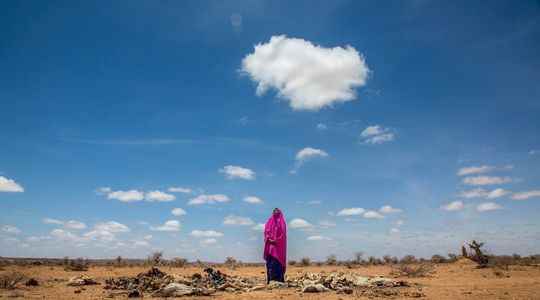 Heat waves in Africa too forests are burning