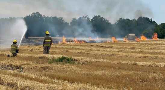 In brief fatal ATV crash south of Petrolia wheat field