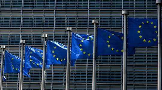 Is the European Commission too too greedy in consulting firms