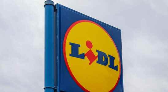 Lidl catalog promotions of the week until August 2