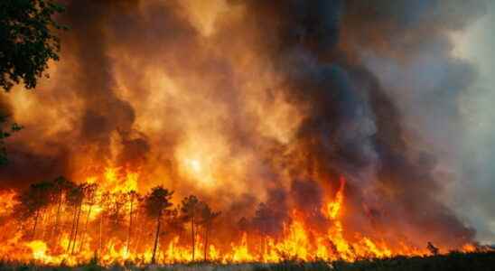 Massive fires in Gironde in pictures