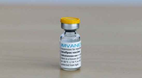 Monkey pox the European Medicines Agency approves the Imvanex vaccine