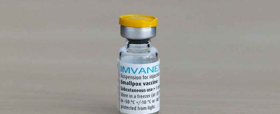 Monkey pox the European Medicines Agency approves the Imvanex vaccine