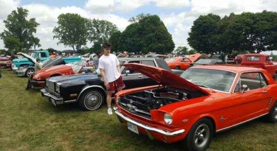 More than 200 vintage vehicles roll into Mitchells Bay for