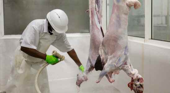 Mutton prices soar a few days before Eid el Kebir