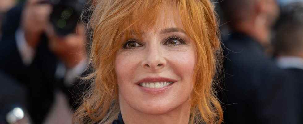 Mylène Farmer: who is Benoît Di Sabatino, her companion? - Earth Press News