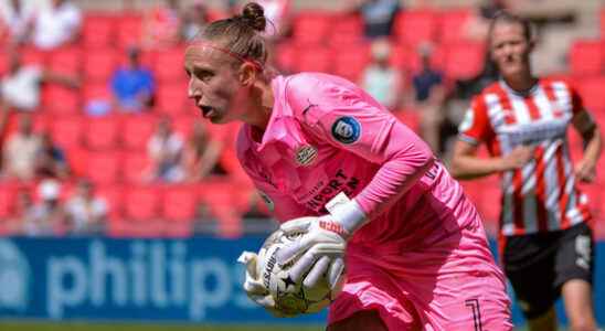 Nieuwegein goalkeeper Van Veenendaal 32 puts an end to career