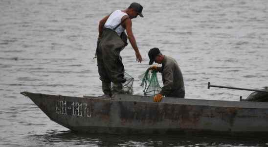 North Korean fishermen sentenced to penal colony in Russia