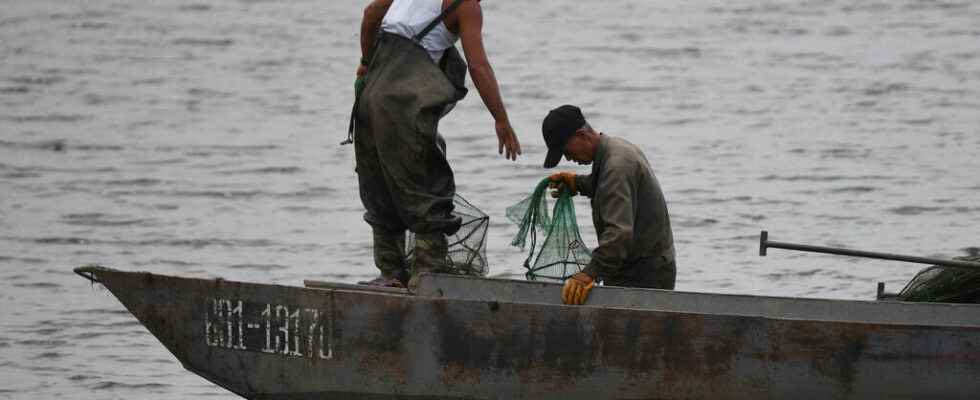North Korean fishermen sentenced to penal colony in Russia