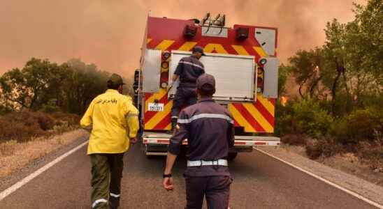 One dead in Moroccan forest fires